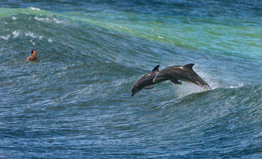 In the Surf  The Atlantic