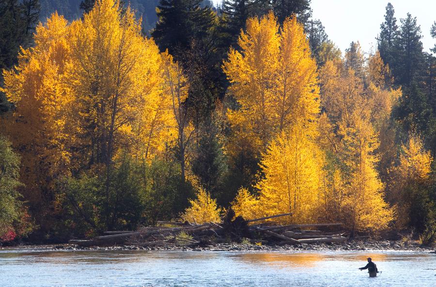 Fall Is in the Air, Part II The Atlantic