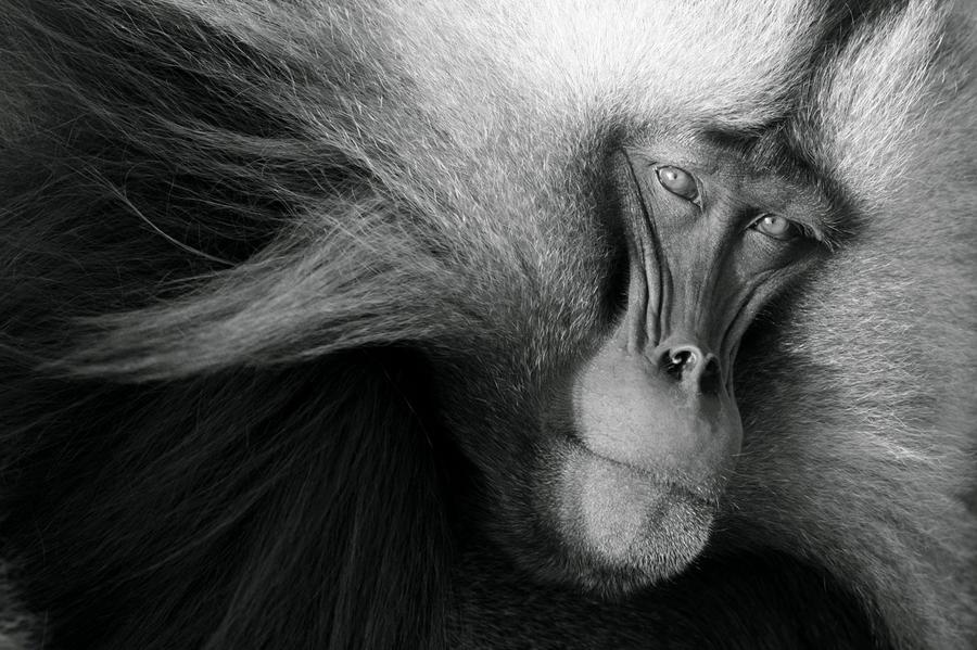 Concurso de fotografia national geographic 2011 36 Concurso de fotografia national geographic 2011 53