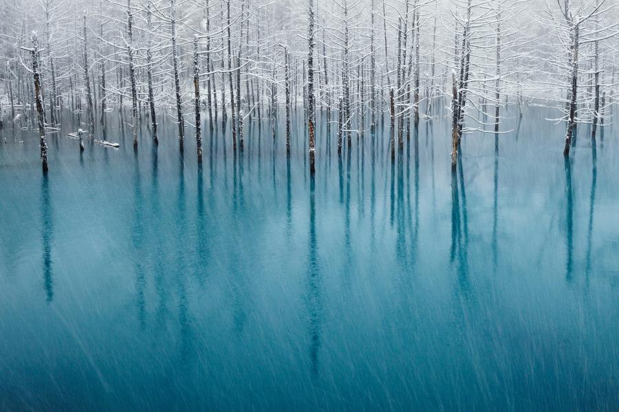 Concurso de fotografia national geographic 2011 64 Concurso de fotografia national geographic 2011 63