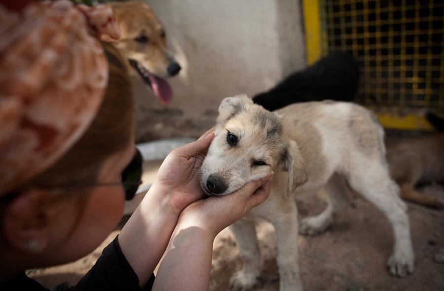 A View Inside Iran The Atlantic
