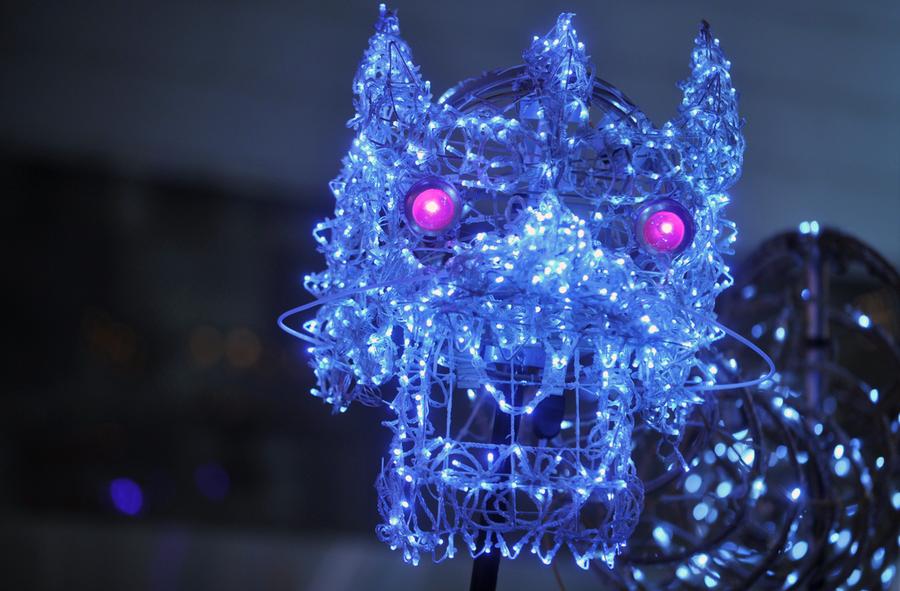Chinese Lunar New Year 2012 - The Atlantic