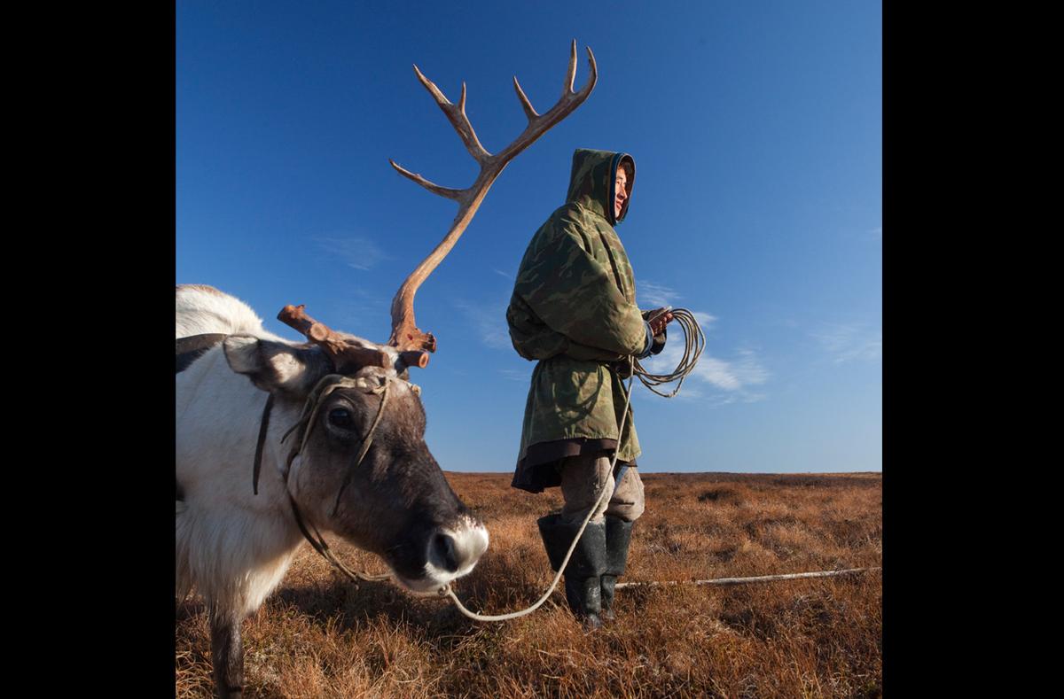 Top 5 myths about the life of reindeer herders in the Yamal tundra Top 5 myths about the life of reindeer herders in the Yamal tundra