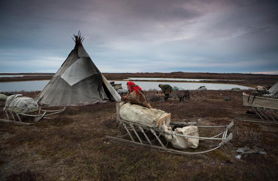 The Nenets of Siberia - The Atlantic