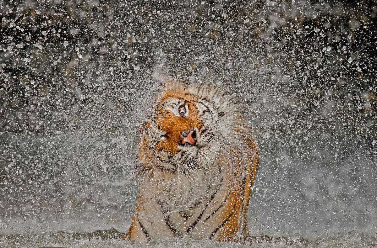 Photos from the National Geographic 2013 contest Photos from the National Geographic 2013 contest