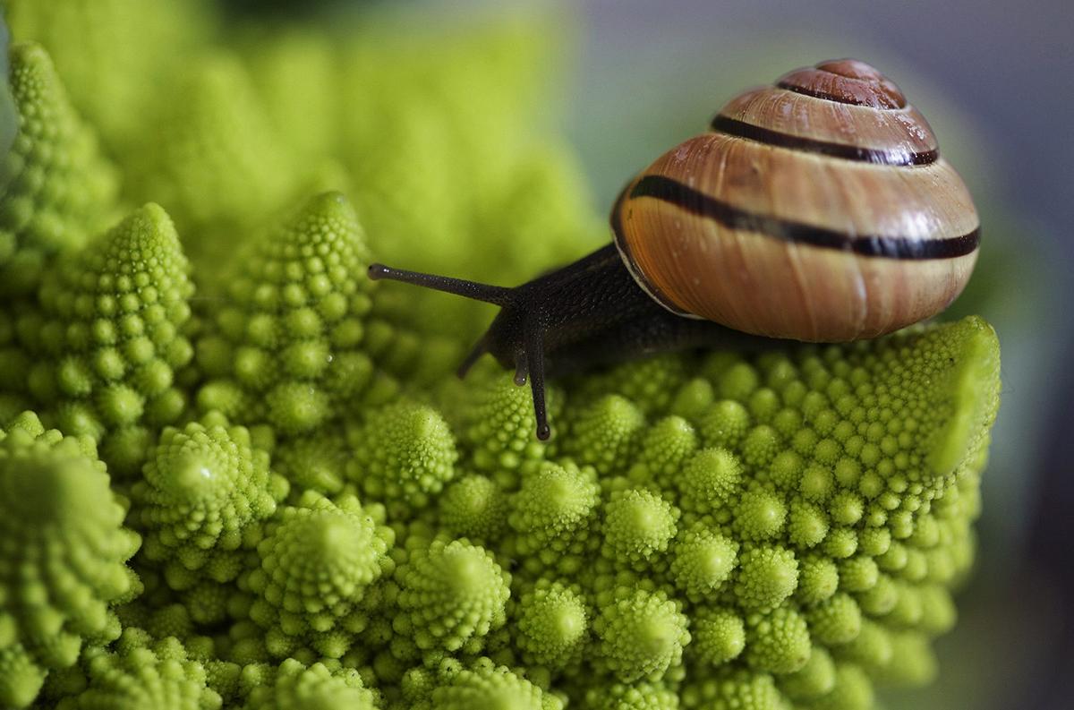Photos from the National Geographic 2013 contest Photos from the National Geographic 2013 contest