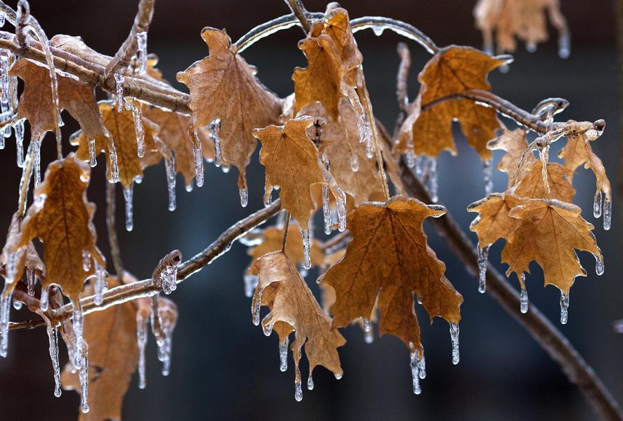 A Christmas Ice Storm - The Atlantic