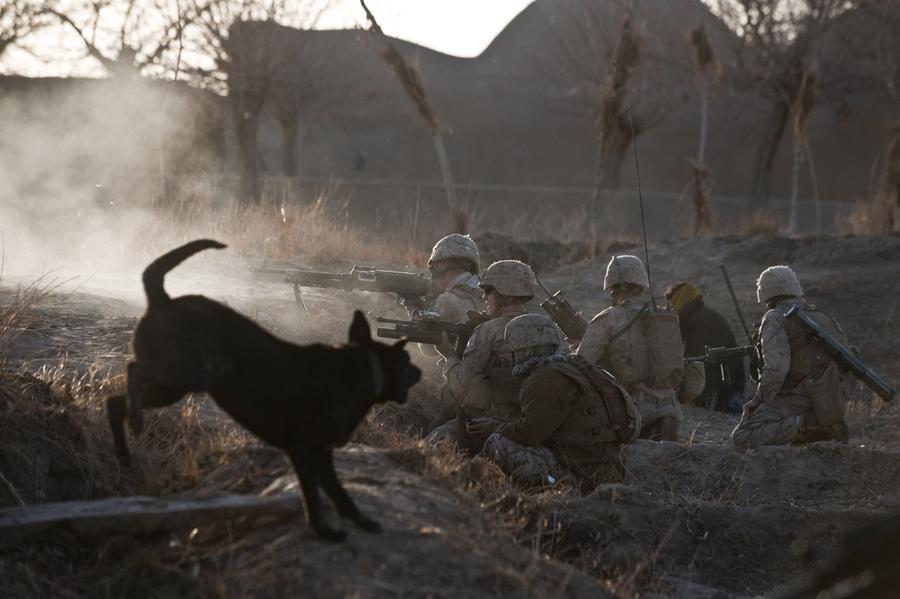 afghanistan-dogs-of-war-the-atlantic