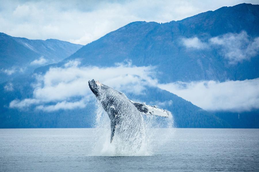 2014 National Geographic Photo Contest, Part II - The Atlantic