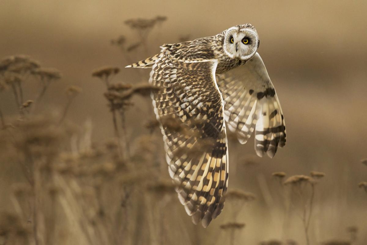 Winners Of The 2014 National Geographic Photo Contest The Atlantic