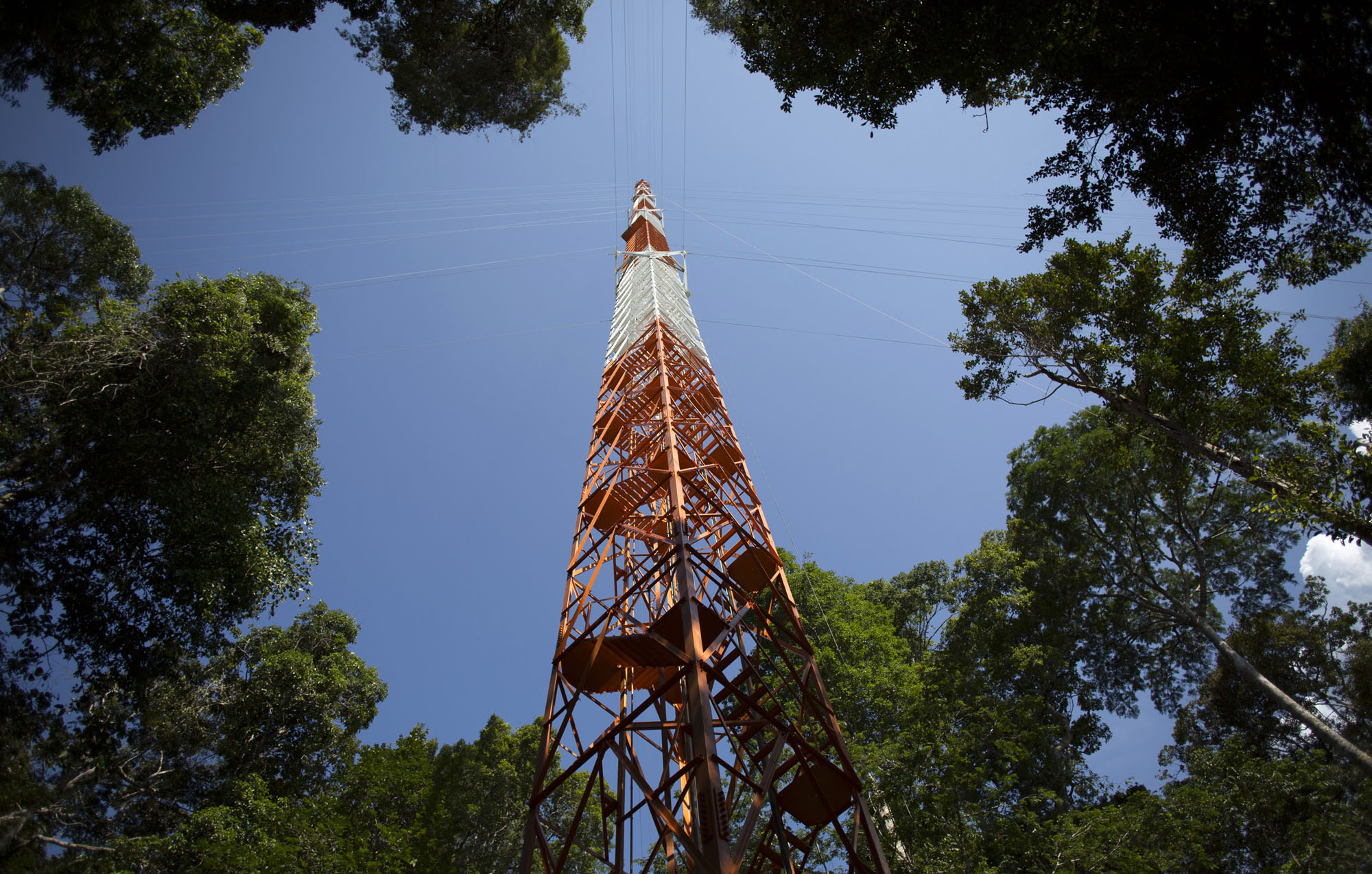 The Tallest Tower In South America Is In The Middle Of The Amazon Forest The Atlantic