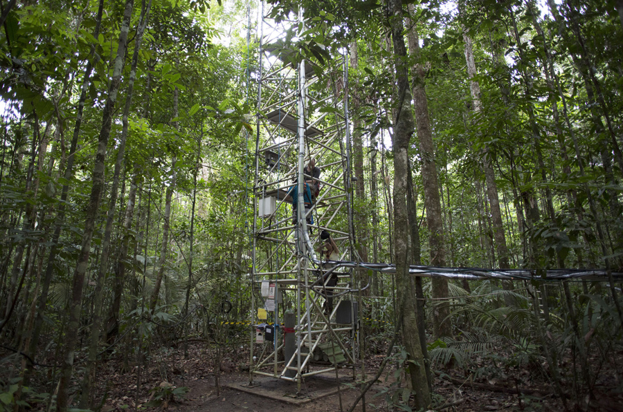 The Tallest Tower in South America Is in the Middle of the Amazon