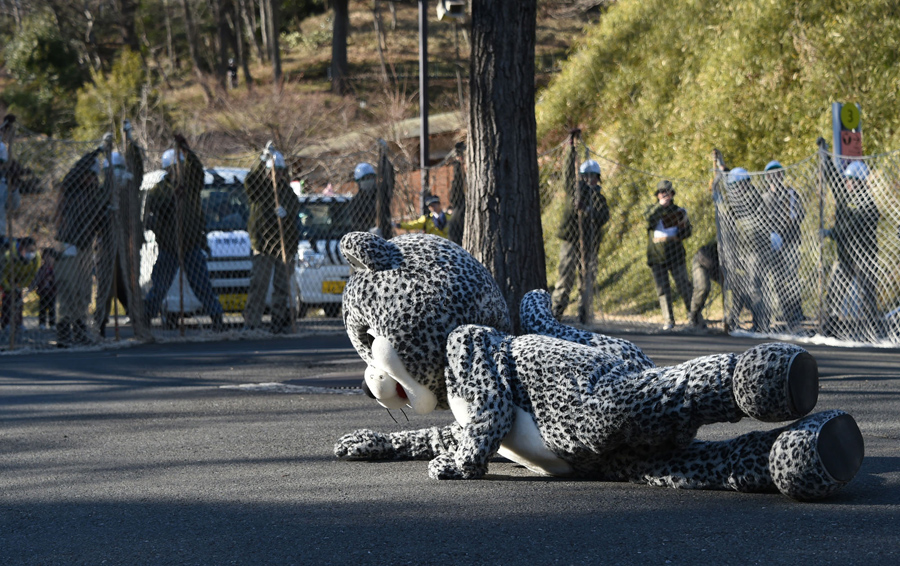 Zoo Security Drills: When Animals Escape - The Atlantic