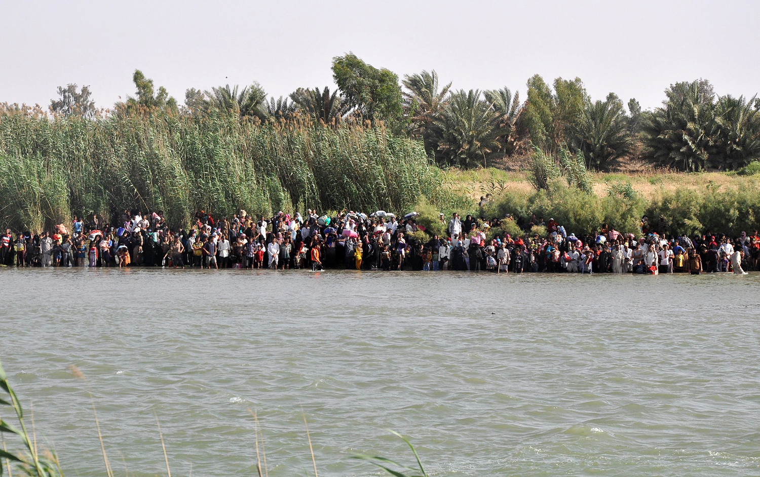 main_1500.jpg?1466447307