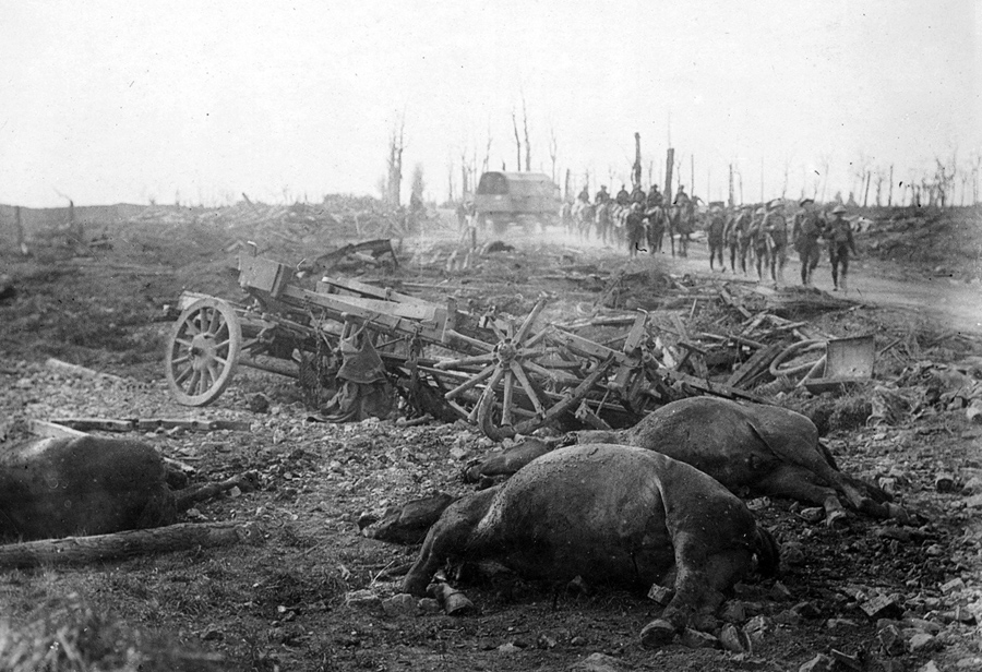 World War I in Photos: Animals at War - The Atlantic