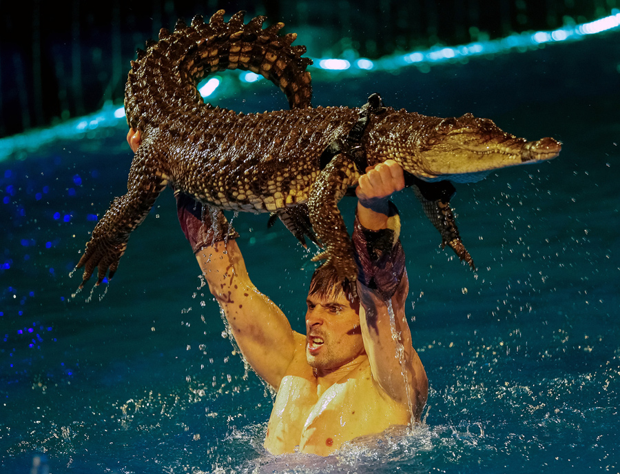 Photos of the Week: 2/11–2/17