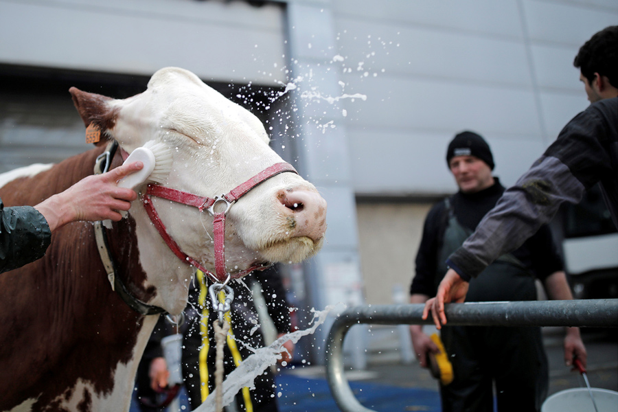 Photos of the Week: 2/18–2/24