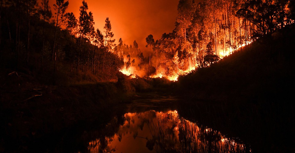 Photos of the Deadly Wildfires in Portugal - The Atlantic