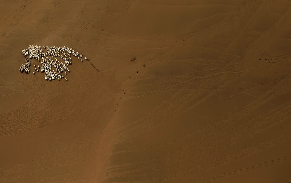 main_1200.jpg?1523472646