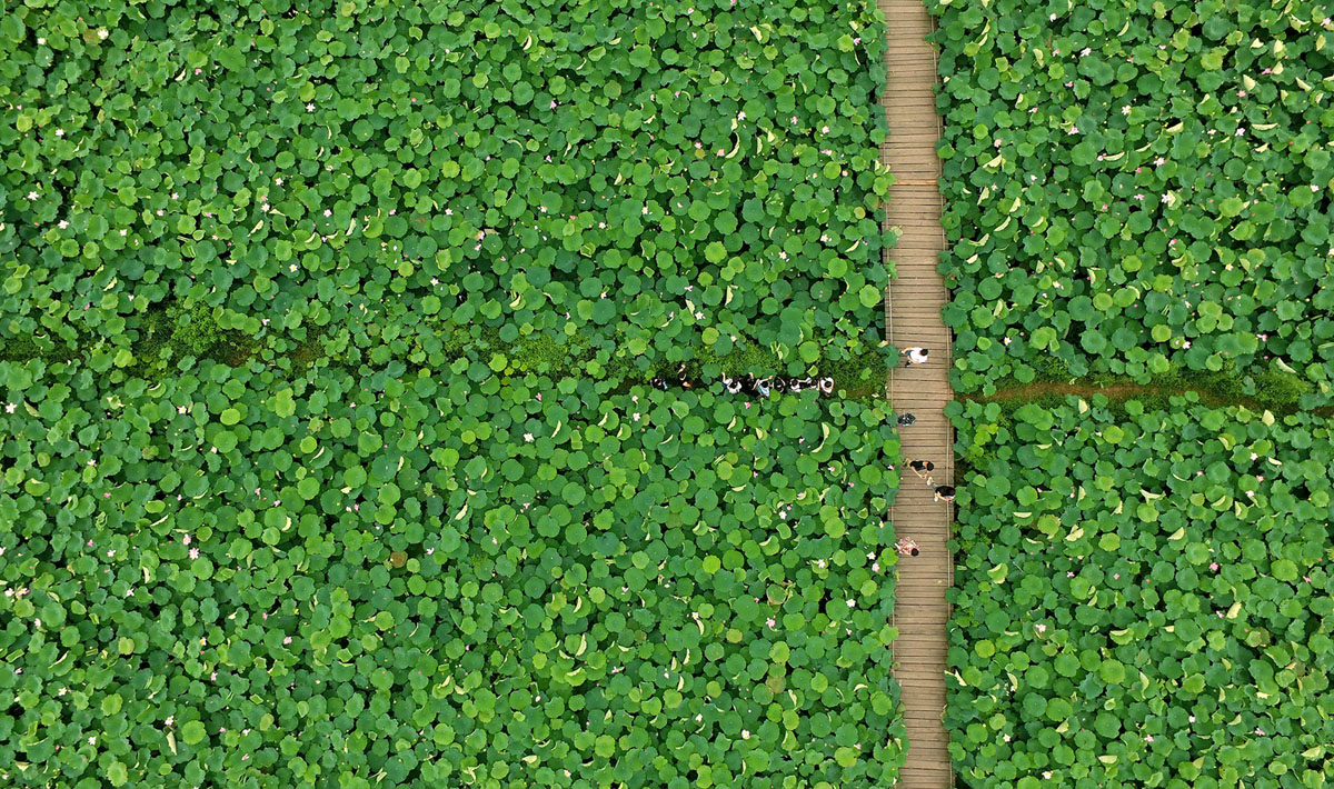 main_1200.jpg?1523472646