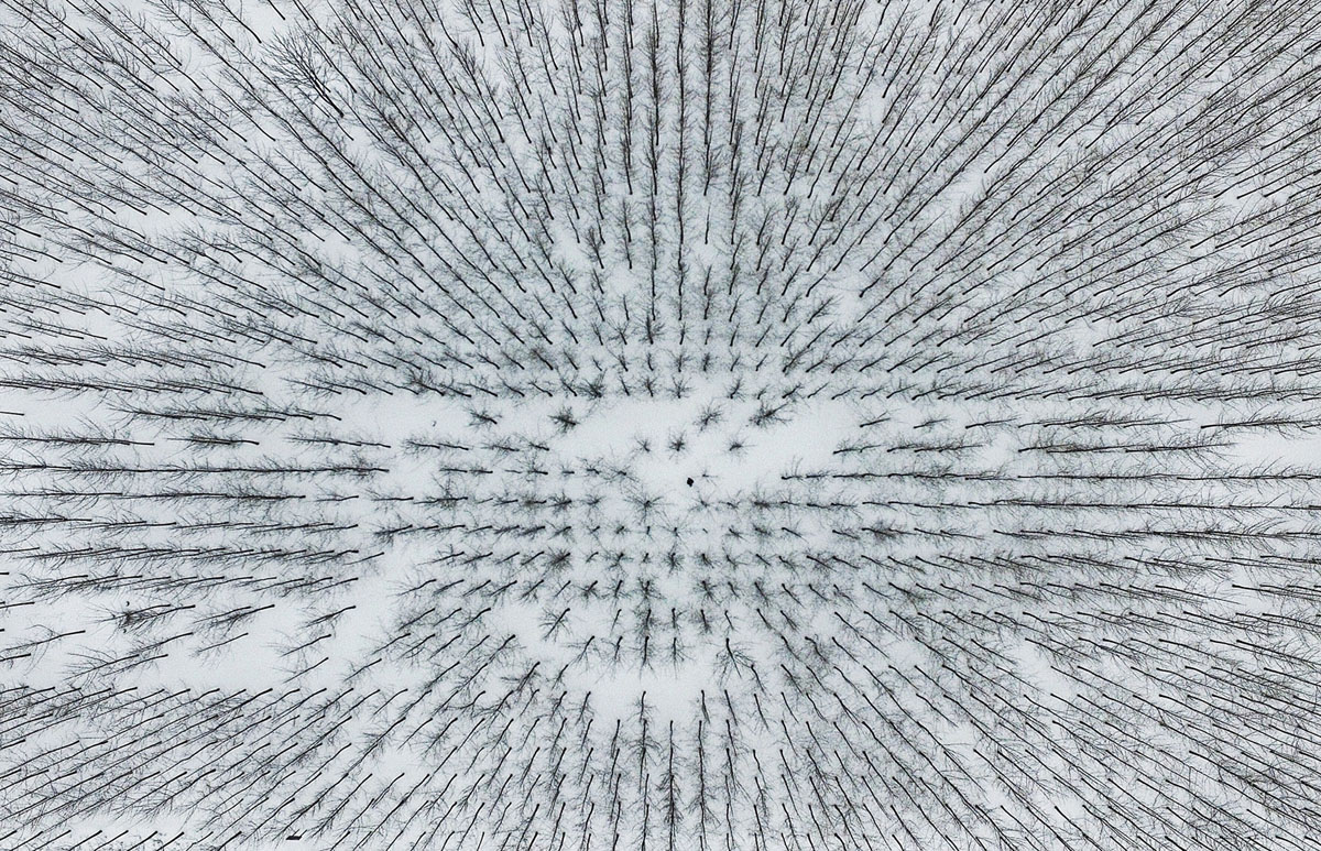 main_1200.jpg?1523472646