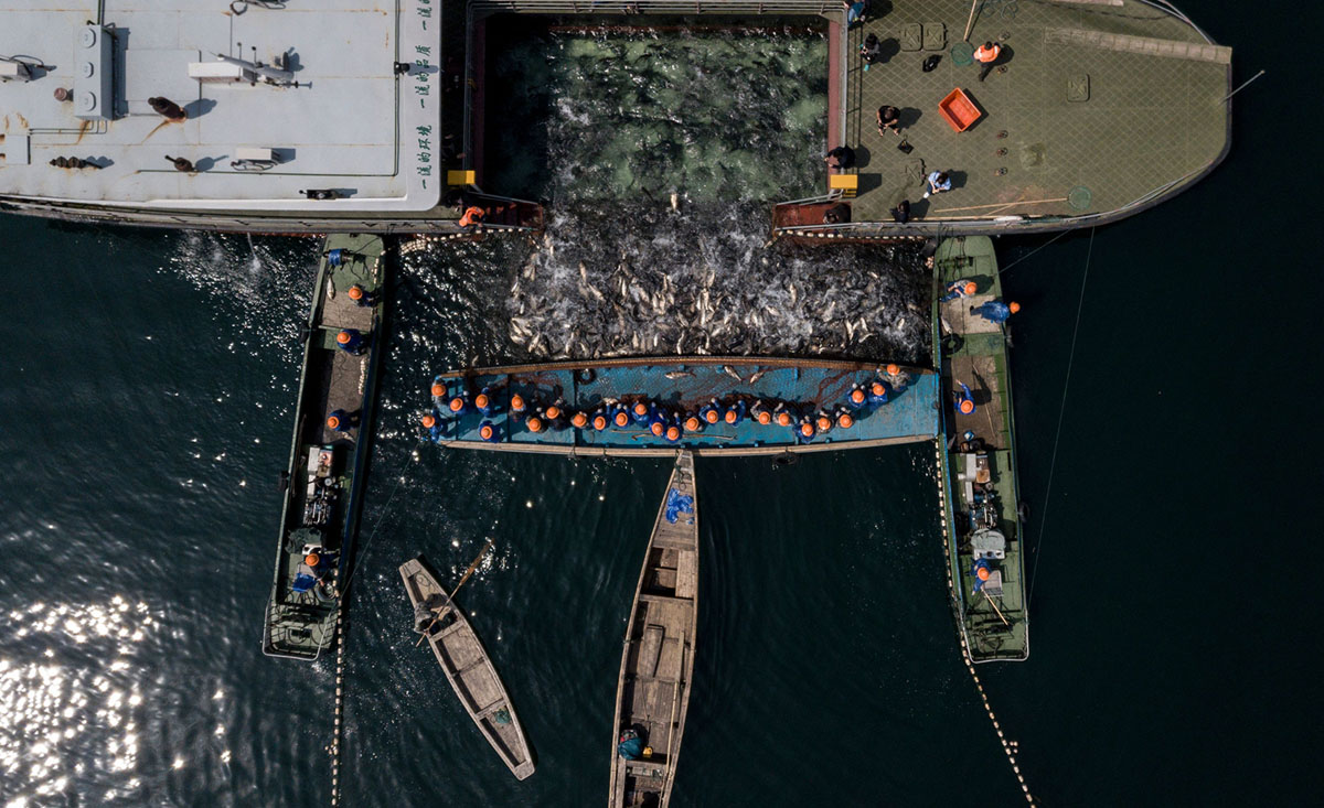 main_1200.jpg?1523474193