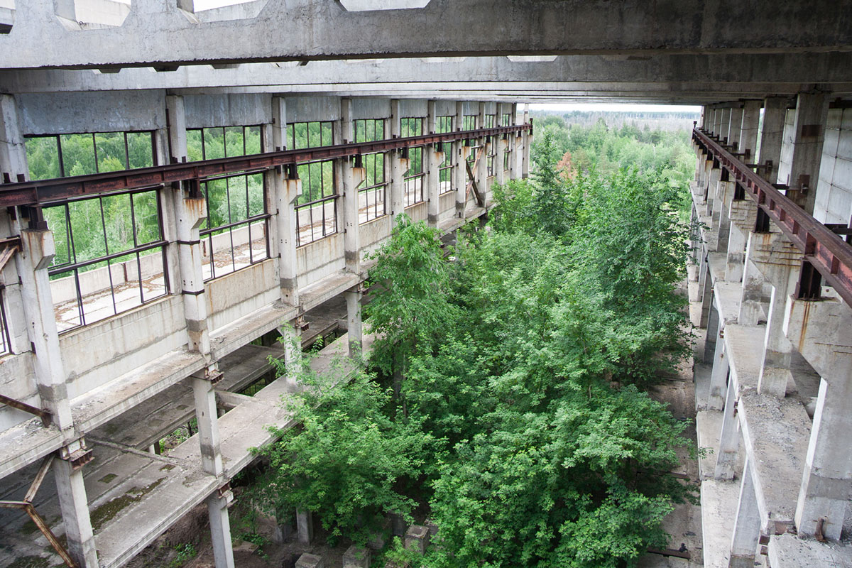 main_1200.jpg