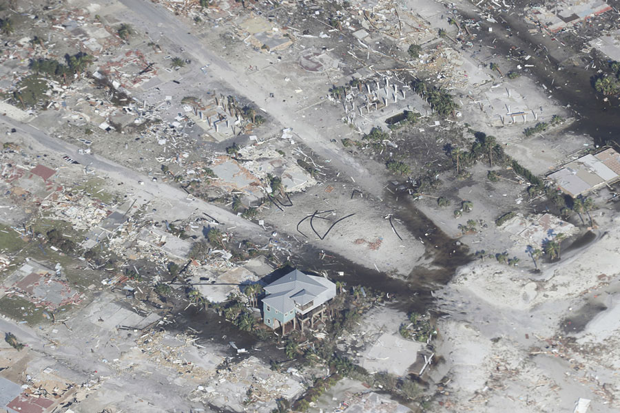 Image result for tree devastation hurricane michael