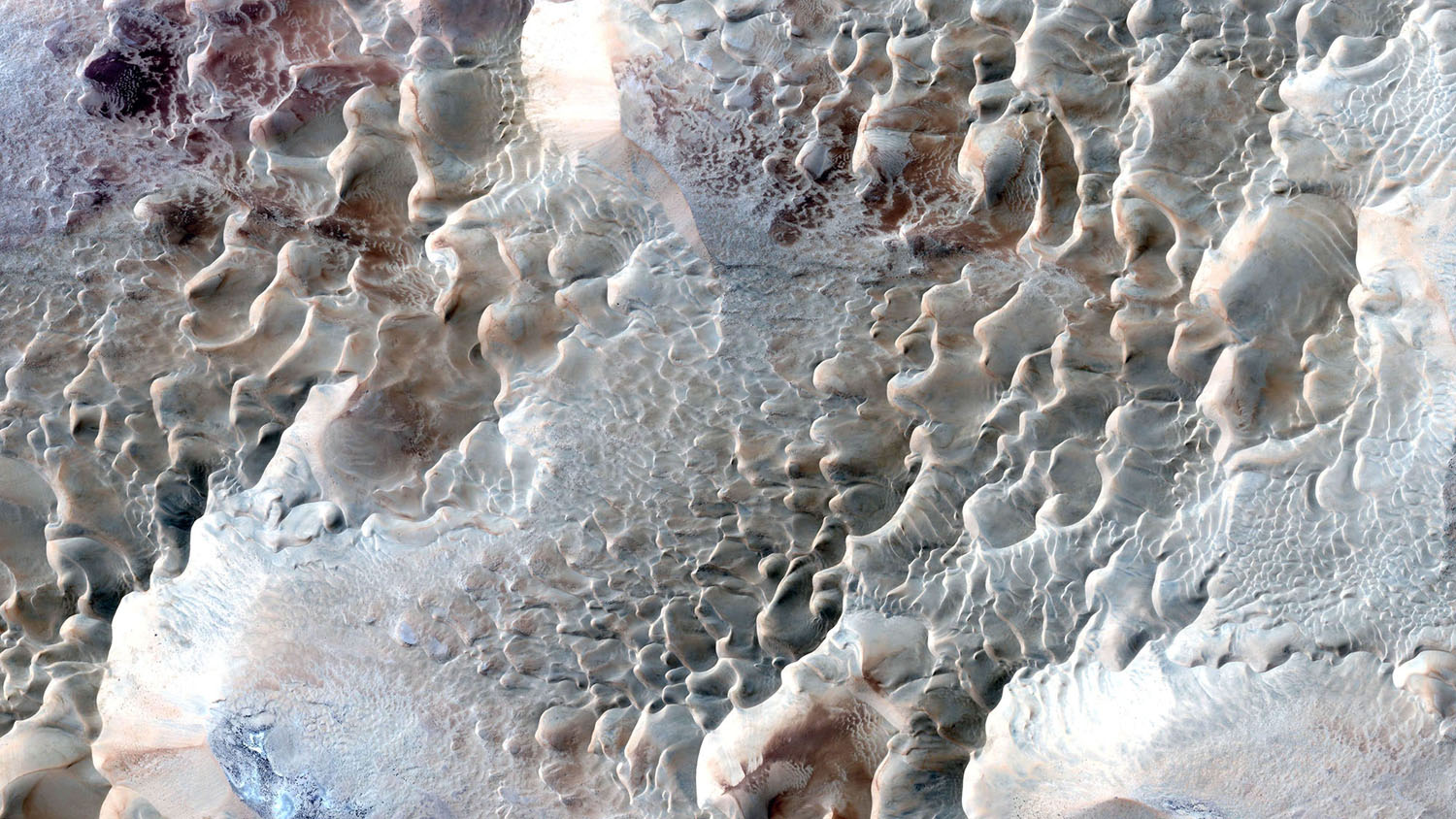 main_1500.jpg?1539719825