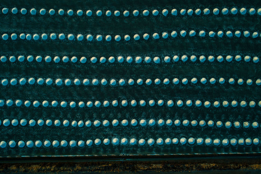 main_900.jpg