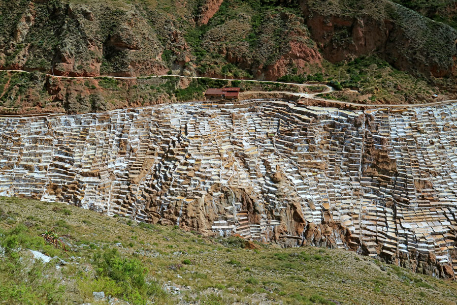 main_900.jpg