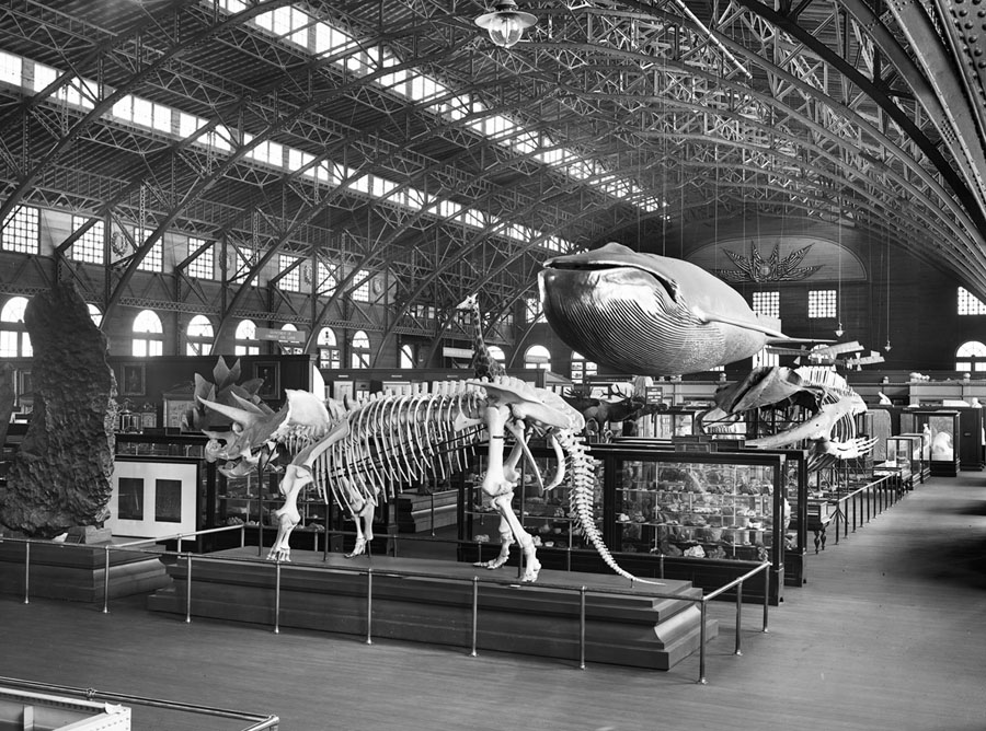 The 1904 St. Louis World’s Fair: Photos - The Atlantic