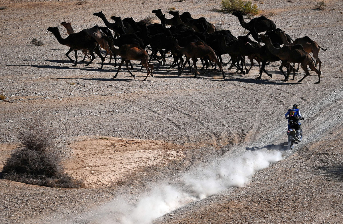 main_1200.jpg