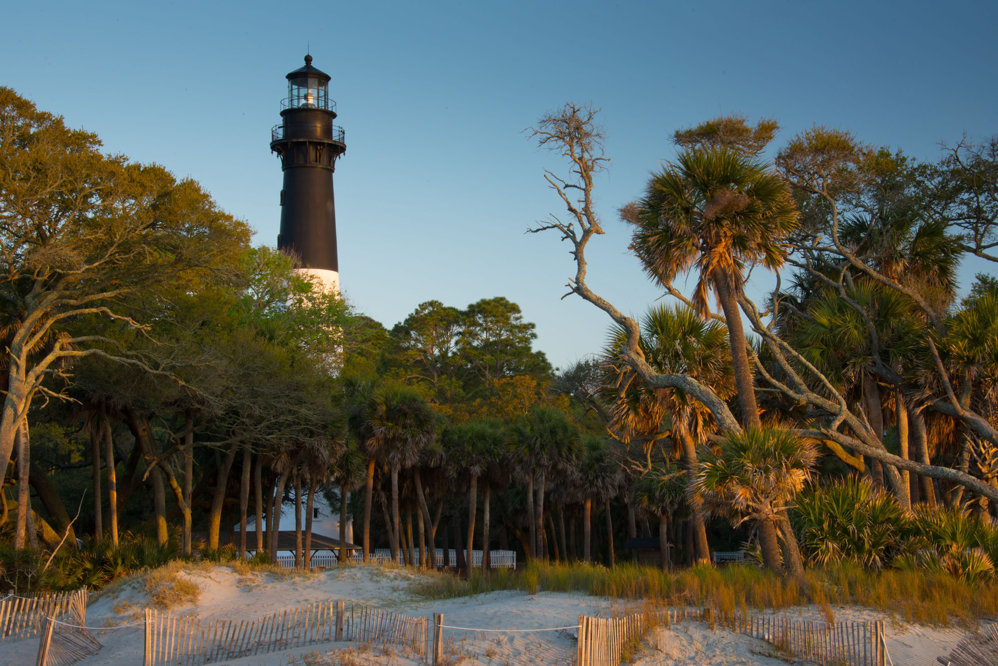 South Carolina Images Of The Palmetto State The Atlantic