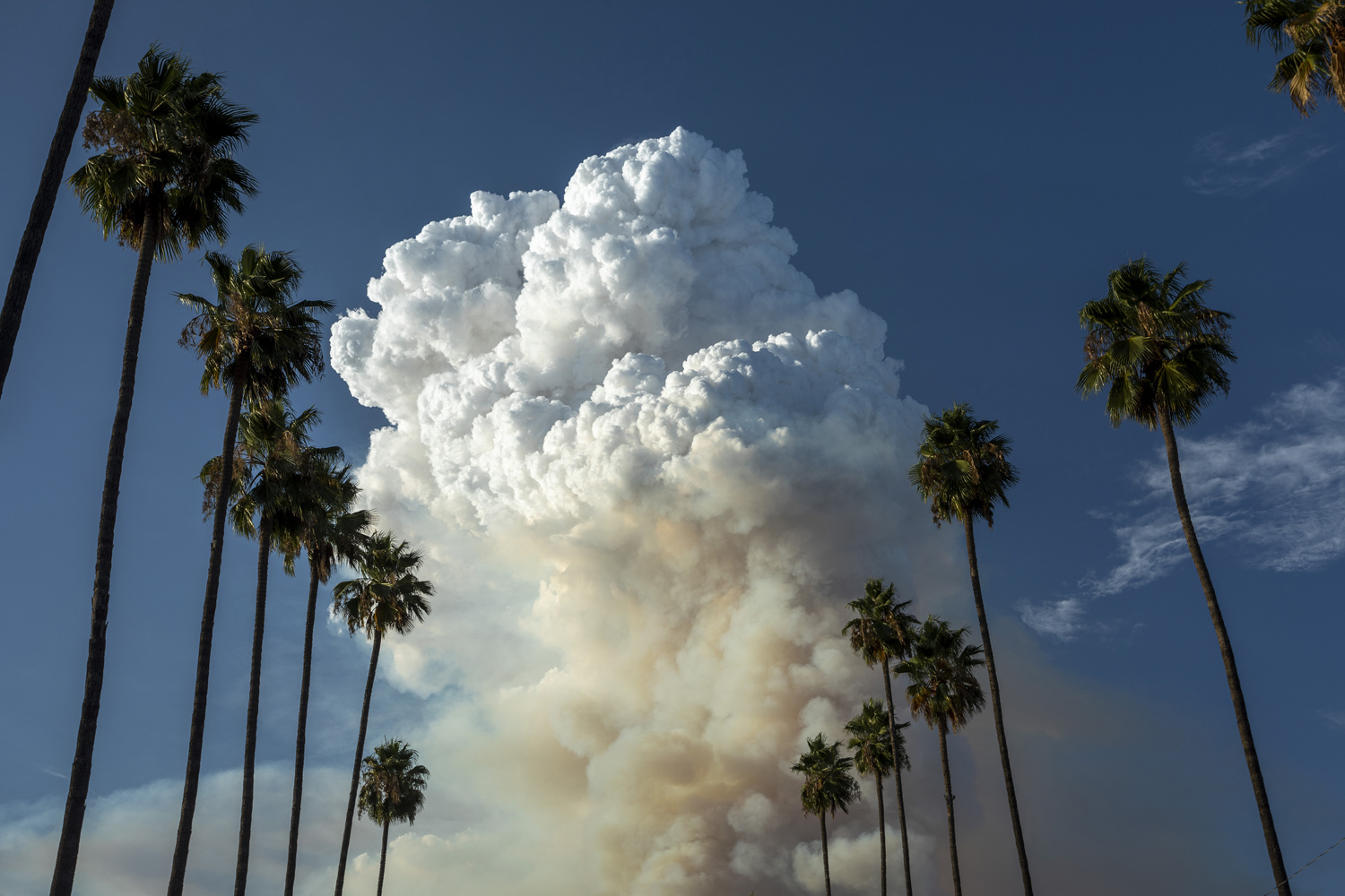 Photos Dozens Of Wildfires Burn Across California The Atlantic