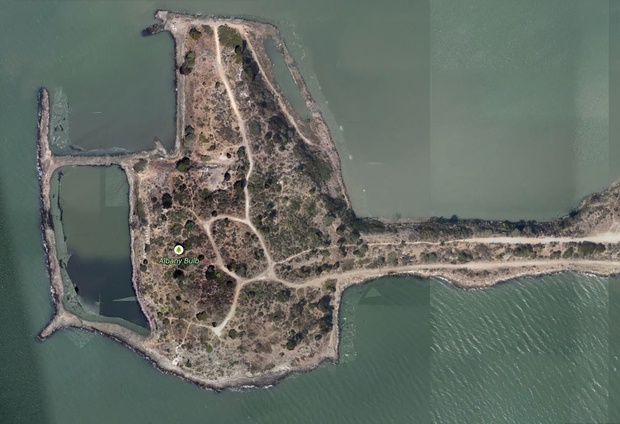 The Bay Area Graffiti Paradise Built on an Island of ...