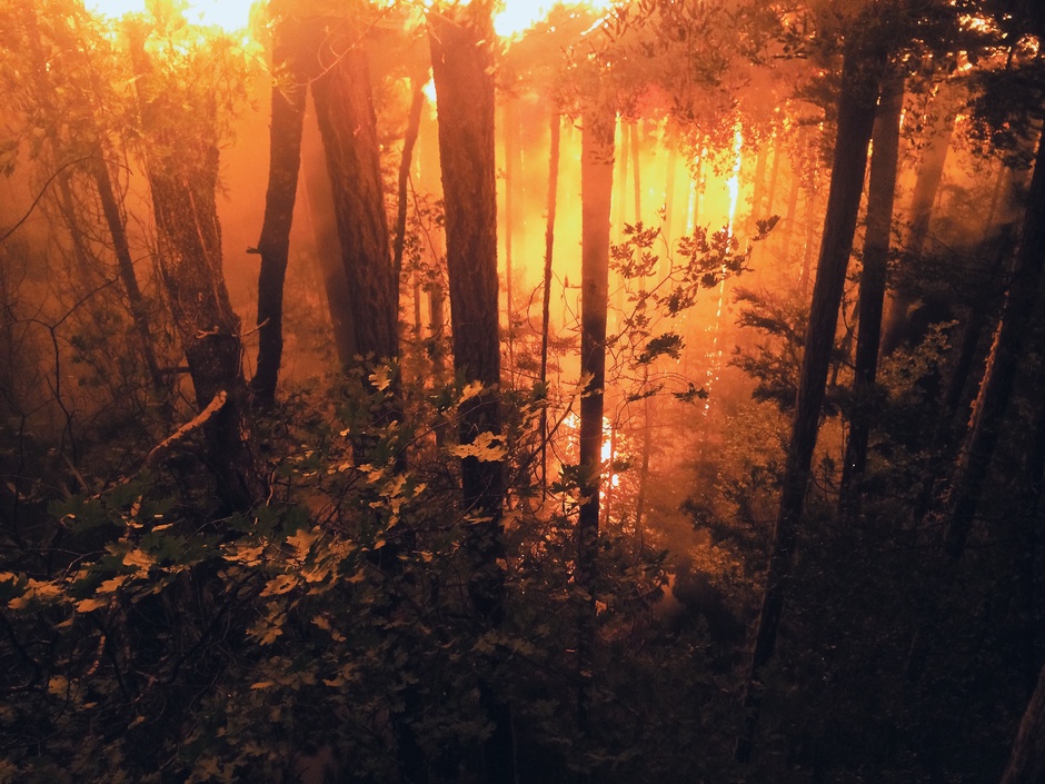 An Elite Firefighter Photographs California's Most Devastating Blazes ...