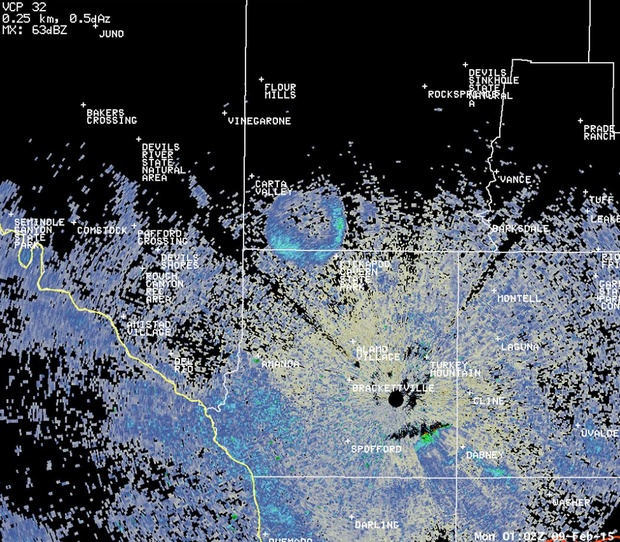 Radar Spots Massive Swarms of Bats Over Texas CityLab