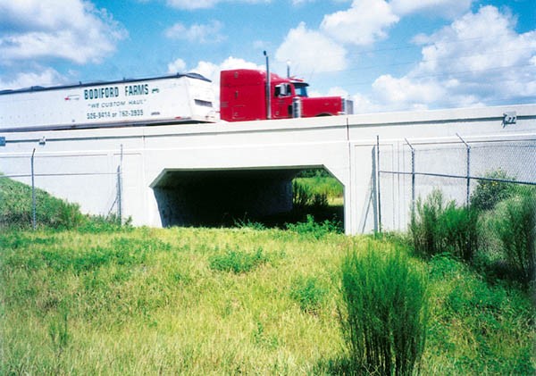 underpass wildlife crossing