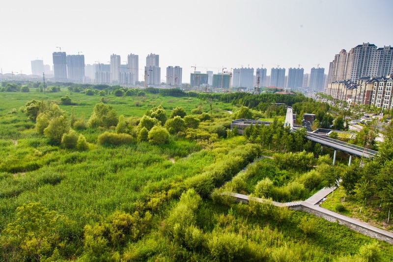 Why China Wants To Build Environmentally Friendly Sponge Cities Citylab