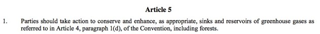1. Parties should take action to conserve and enhance, as appropriate, sinks and reservoirs of greenhouse gases as referred to in Article 4, paragraph 1(d), of the Convention, including forests.