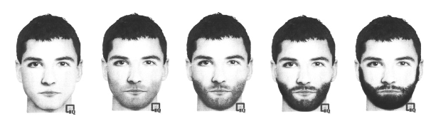 The levels of facial hair studied in one 2008 paper. From the left ...
