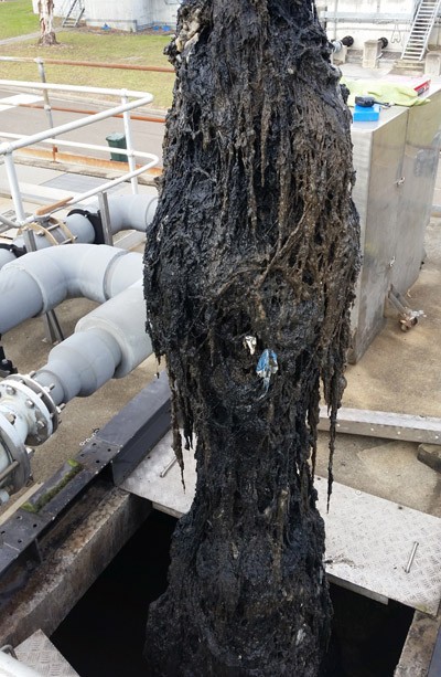 wet wipes clogging pipes