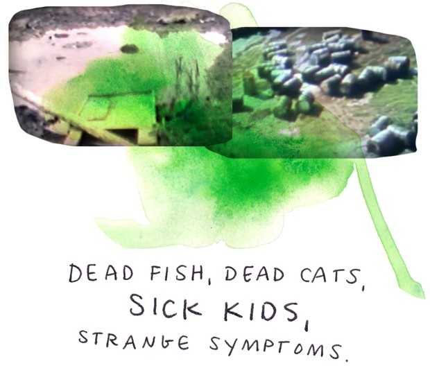 Dead fish, dead cats, sick kids, strange symptoms.