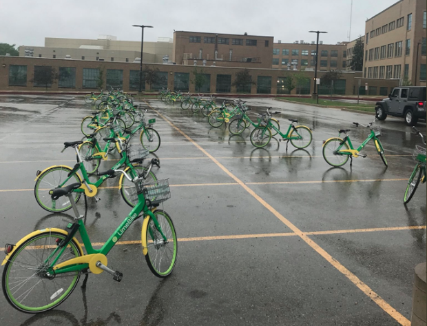 LimeBikes pictured in parking spaces.