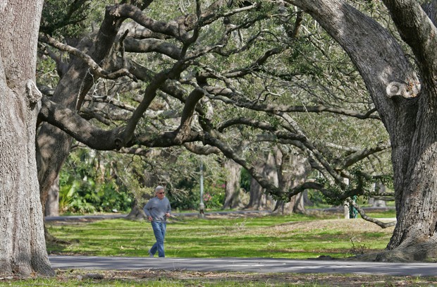 A person walks through New Orleans's Audubon Park.