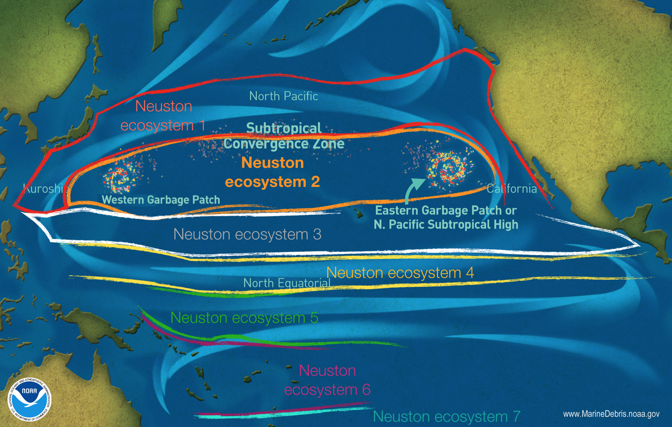 A map showing where neuston ecosystems can be found.