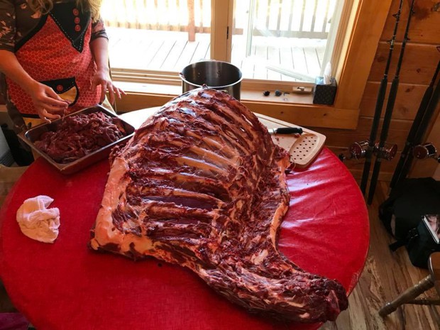 a photo of roadkill cut on a table