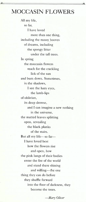 Mary Oliver Poems Moccasin Flowers The Atlantic