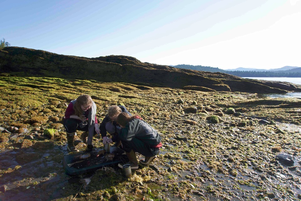 This Alaskan Science Class's Exam: Wilderness Survival - The ...